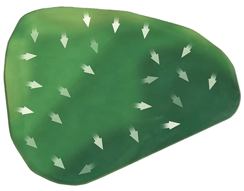 Green topography